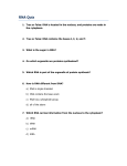 RNA Quiz - Net Texts