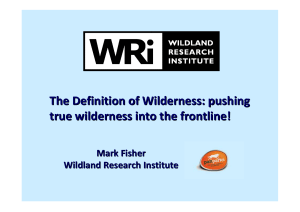 The Definition of Wilderness: pushing true wilderness into the frontline!