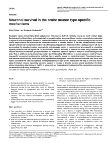 Neuronal survival in the brain: neuron type-specific