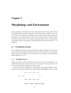 Morphology and Environment