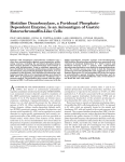 Histidine Decarboxylase, a Pyridoxal Phosphate