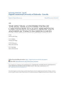 the spectral contribution of carotenoids to light absorption and