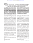 Enhanced B7-2 Gene Expression by Interferon