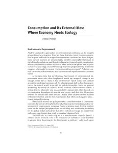 Consumption and its Externalities: Where Economy Meets Ecology