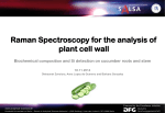 Raman Spectroscopy