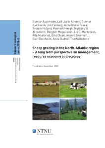Sheep grazing in the North-Atlantic region