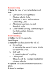 Remembering 1 State the type of specialised plant cell that: a