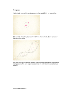 Your genes Hidden inside every cell in your body is a chemical