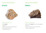 rocks and fossils