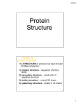 slides on Protein Structure