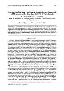 Determination of the Gram Type Using the Reaction Between