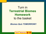 Turn in Terrestrial Biomes Homework to the basket