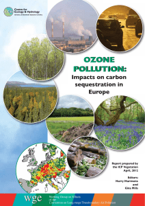 ozone pollution - the ICP Vegetation