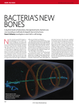 10.1 Cell Biology.indd NS NEW.indd