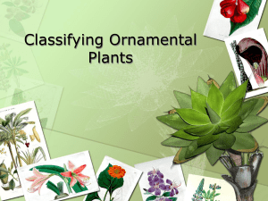 Classifying Ornamental Plants