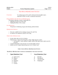 Biology 2201 - Respiratory system notes