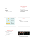 Heredity Important terms and concepts