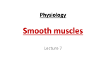 of the smooth muscles