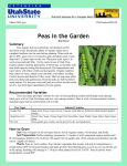 Peas Reference Sheet - My Square Foot Garden