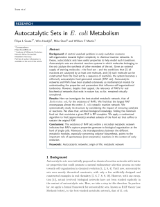 Autocatalytic Sets in E. coli Metabolism