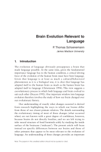 Brain Evolution Relevant to Language