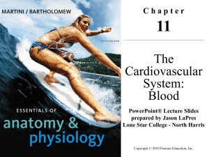 The Cardiovascular System: Blood