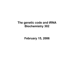 The genetic code and tRNA Biochemistry 302 February 15, 2006