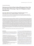 Motoneurons Derived from Induced Pluripotent Stem Cells Develop