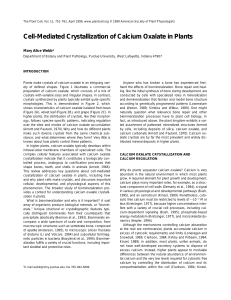Cell-Mediated Crystallization of Calcium Oxalate in