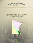 Rochester Plateau - Minnesota DNR - MN-dnr