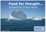 Antarctic food thought game cards