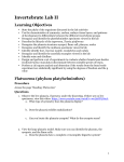 Invertebrate Lab II Learning Objectives