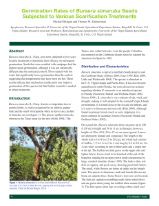 Germination Rates of Bursera simaruba Seeds Subjected to