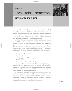 Corn Under Construction