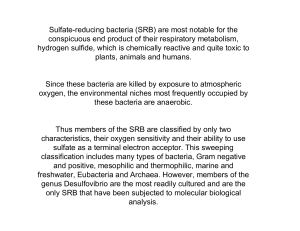 Sulfate-reducing bacteria (SRB) are most notable for the