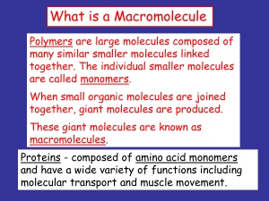 What is a Macromolecule