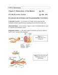 Note 9.5 - The Excretory System