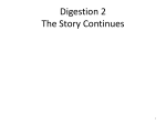 Slides on Digestion 2