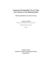 Japanese Encephalitis Virus in Pigs and Vectors in the Mekong Delta