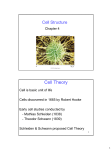 Cell Theory