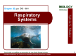 Ch 35- Respiratory System