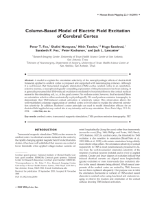 Column-Based Model of Electric Field Excitation of Cerebral Cortex