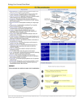 Core Concept Cheat Sheet