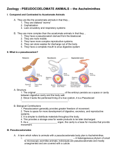 Zoology - PSEUDOCOELOMATE ANIMALS