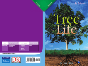 Deciduous Trees - Plain Local Schools