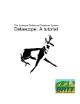 The Antelope Relational Database Management System