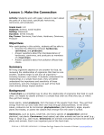 Lesson 1: Make the Connection - Michigan Sea Grant