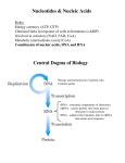 Nucleic Acid structure