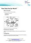 How Does the Ear Work? - Deaf Children Australia