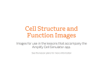 Cell Structure and Function Images v4.pptx